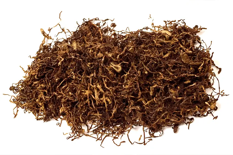 Chewing Tobacco copy.jpg