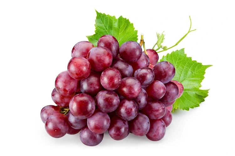 GRAPE