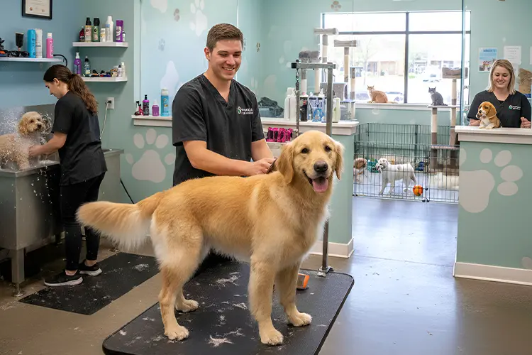 Pet Care & Grooming copy.jpg